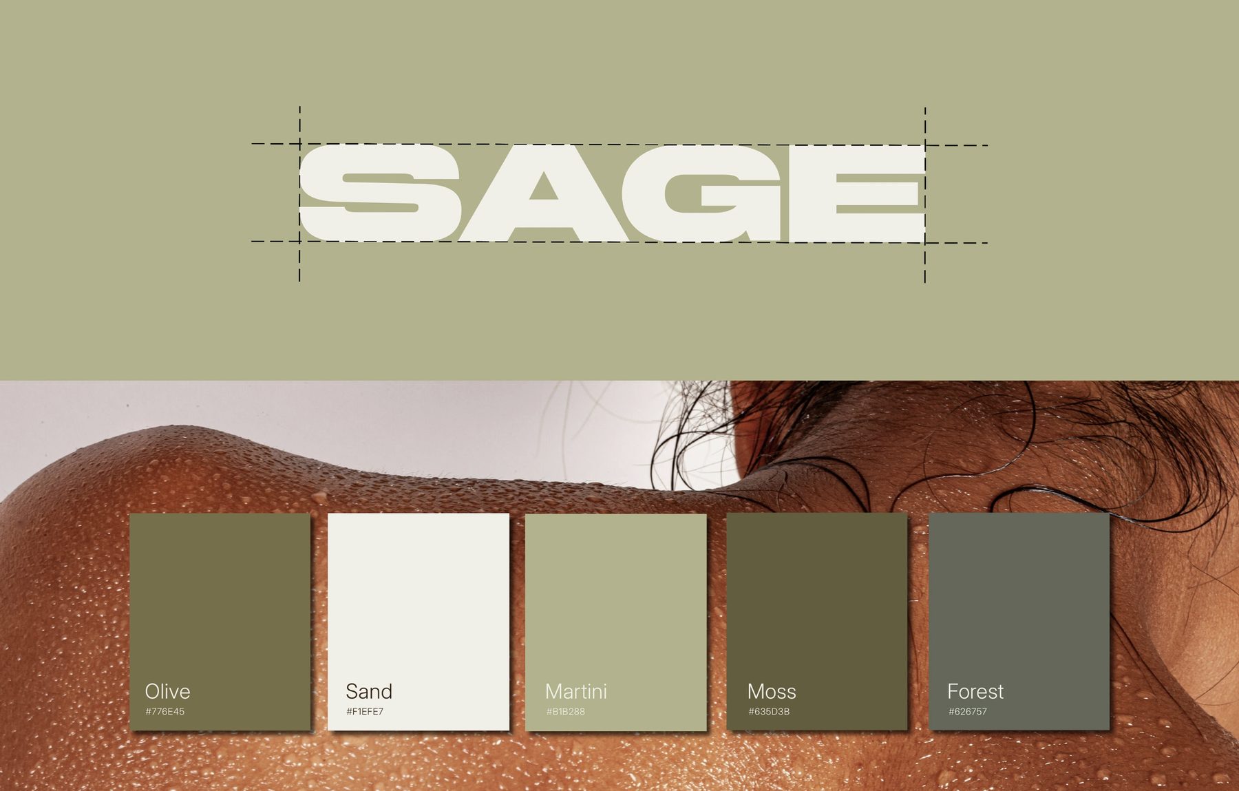 SAGE logo construction and color palette